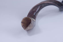 Medium Polished Kudu Horn (1024-PM-G1288)