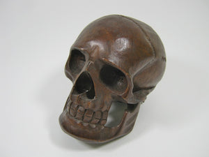 Large Wooden Skull (1170-L-G01)