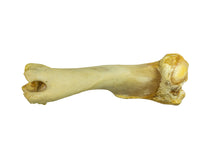 Camel Leg Bone (1350-20-G2995)