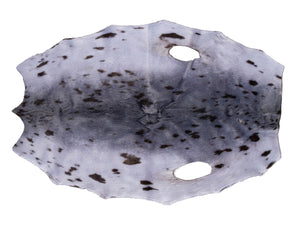 Harp Seal Skin Natural Grade C (150-40-G2872)