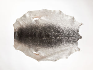 Ring Seal Skin Natural (150-60-G2537)