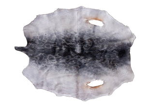 Ring Seal Skin Natural Grade B (150-60-G2875)