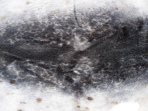 Ring Seal Skin Natural Grade B (150-60-G2876)