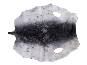 Ring Seal Skin Natural Grade B (150-60-G2876)