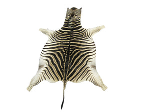 Trophy Grade Burchell Zebra skin (168-T-G108)