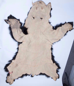 Black Bear Skin (175-30-G1386)