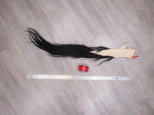 Tanned Horse Tail (18-06T-G3904)
