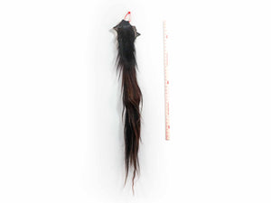 Tanned Horse Tail (18-06T-G4410)
