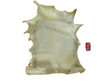 Bleached White Tail Deer Rawhide Select Grade (55-40-SELB-AS)