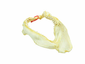 Lemon Shark Jaw: 18.25" (561-J06-G2924)