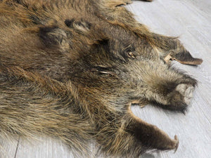 Wild Boar Skin: Large (577-L-G4532)