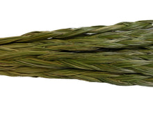10 Native Canadian Sweetgrass Braids (63-03-xxx)