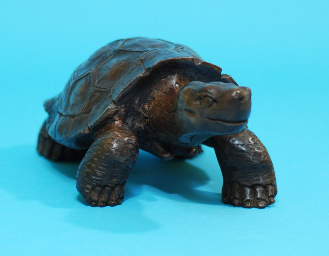 Large Galapagos Tortoise Wood Carving (1169-L-G01)