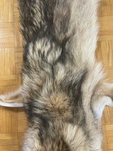 Timber Wolf Skin (1037-G2826)